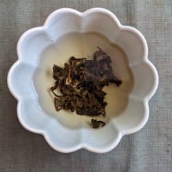 2022 Primavera Oolong DongDing Ambrosía presentación